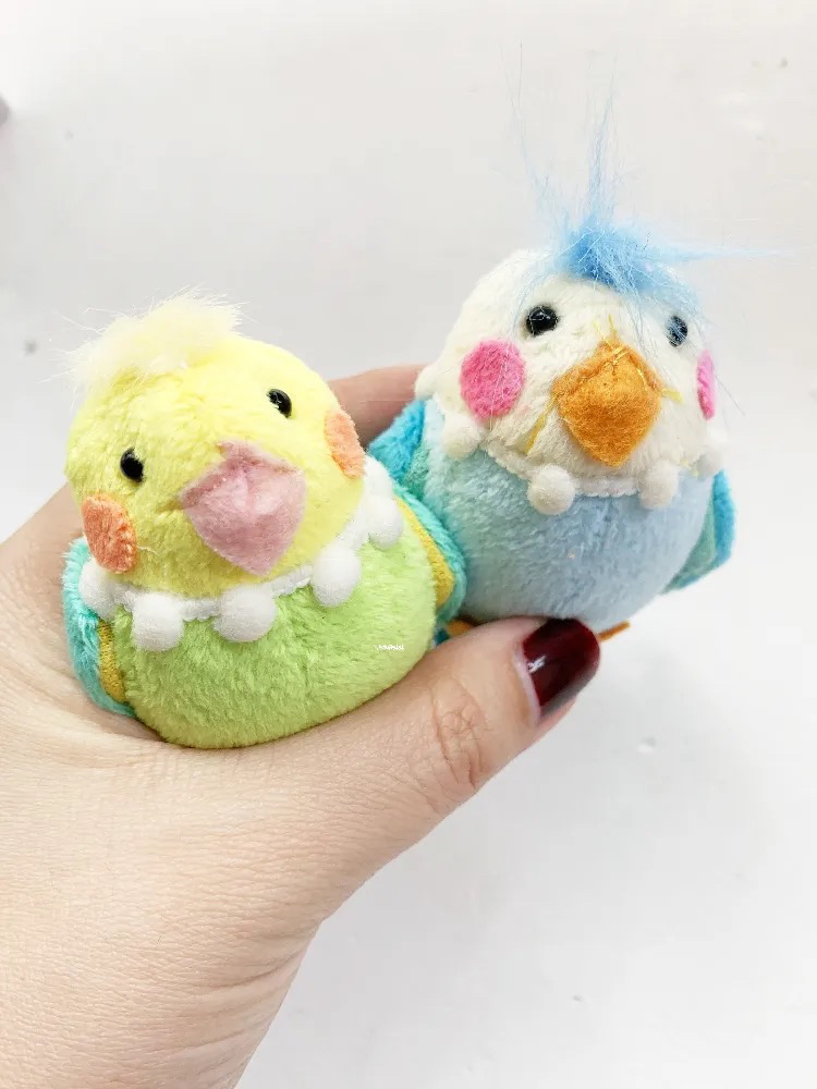 特色小头虎皮鹦鹉布偶两只