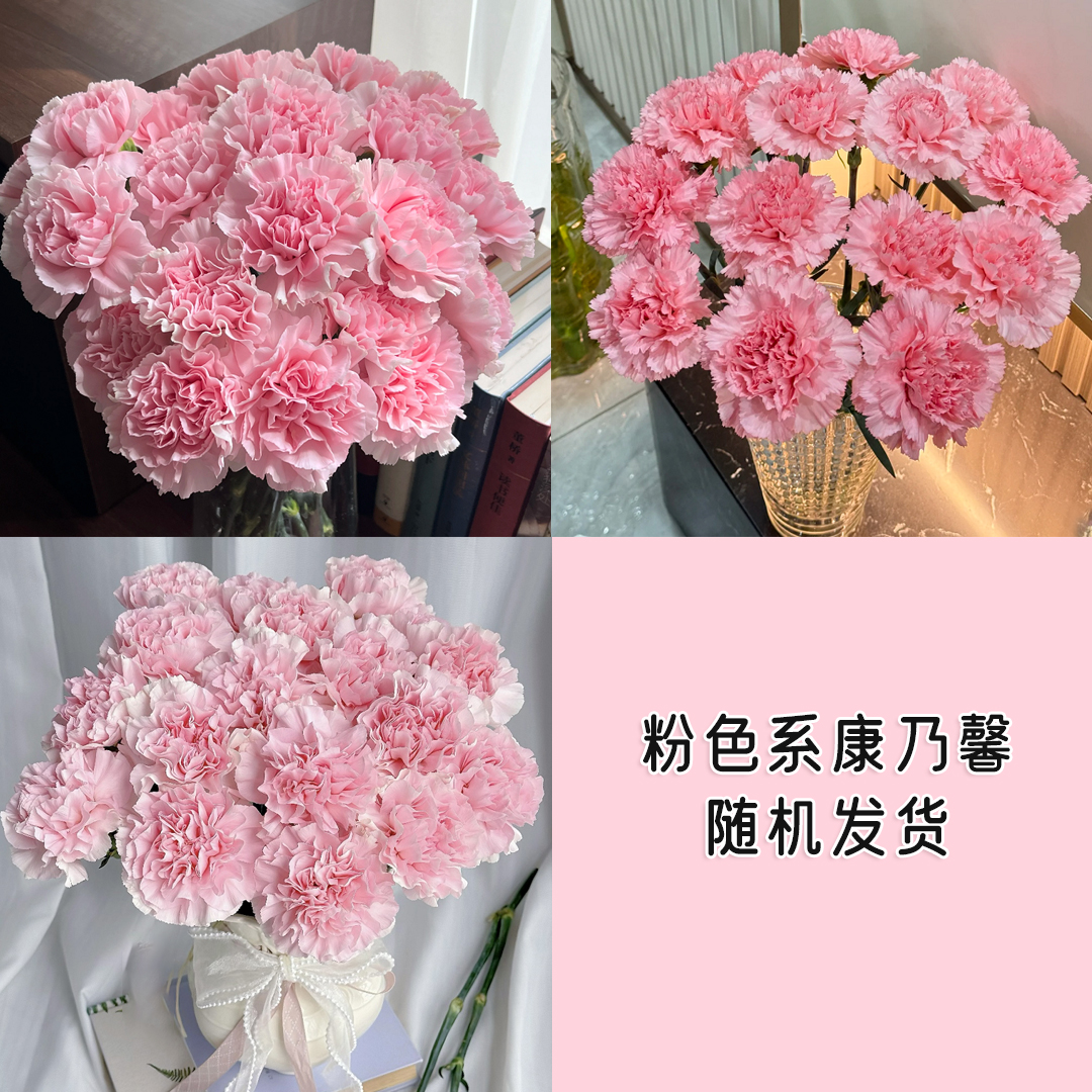 『粉色系康乃馨10枝』 随机粉色发货 家居养花全场任意2单鲜花顺丰京东包邮 三单鲜花送玻璃花瓶鲜花直播次日达