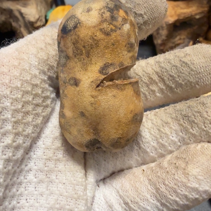 K***️66666676766766777