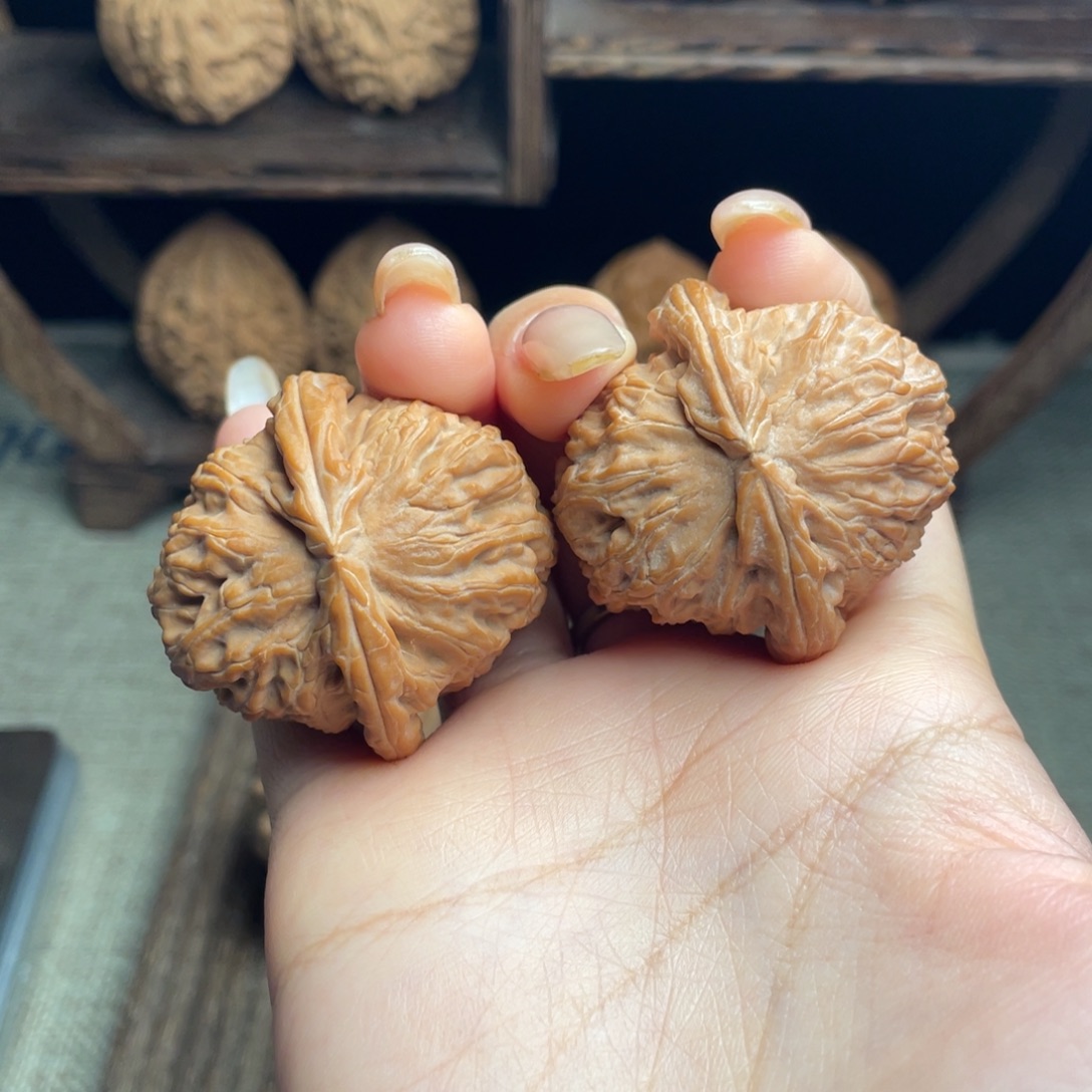 木质白狮子40 全品白茬