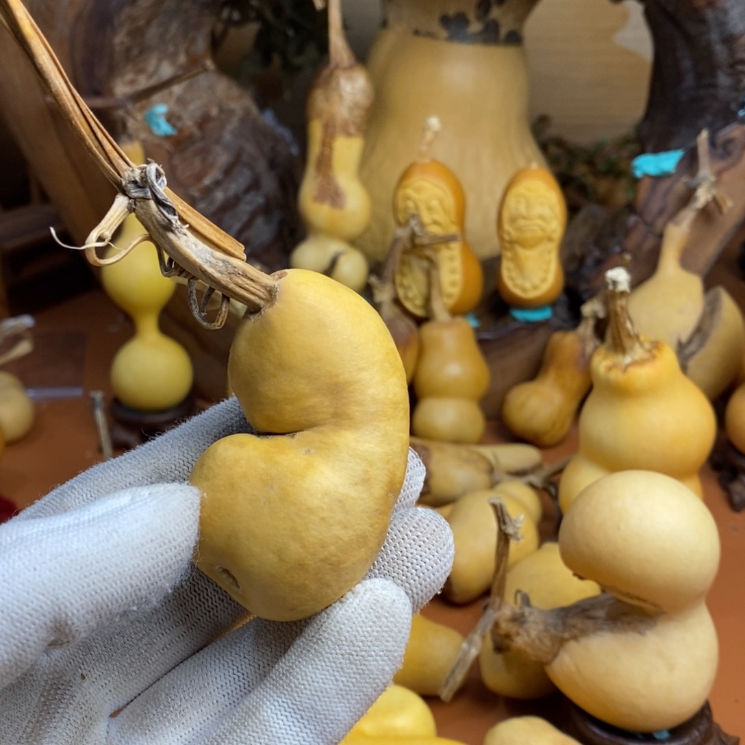 是***呀啦啦啦教练咯教练咯