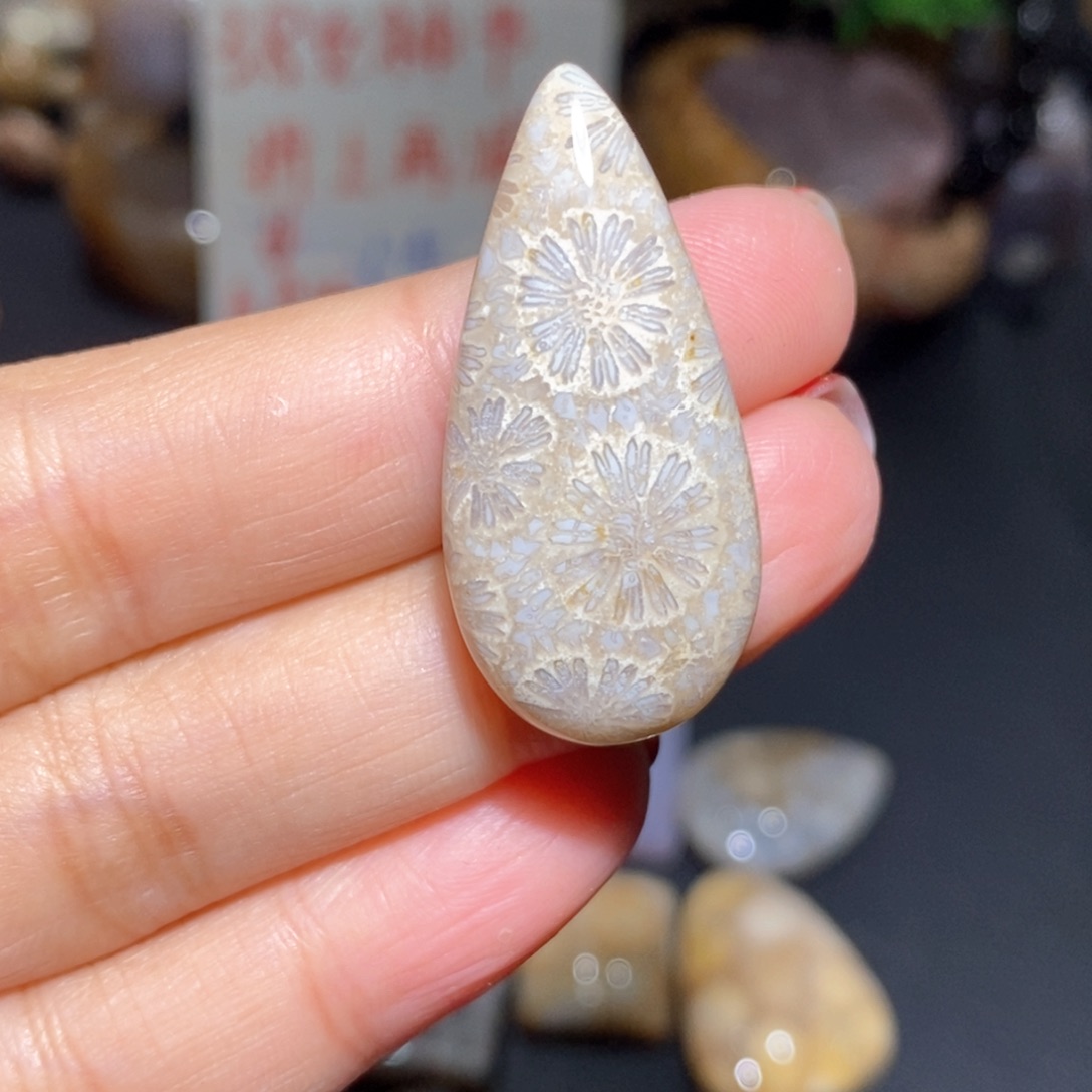 【闪购商品】硅化玉颈饰未镶嵌