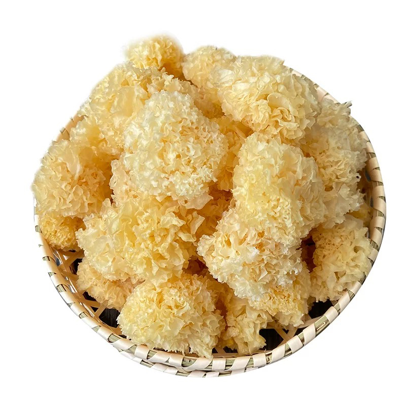 【大个山货】云南山货椴木银耳可搭配枸杞