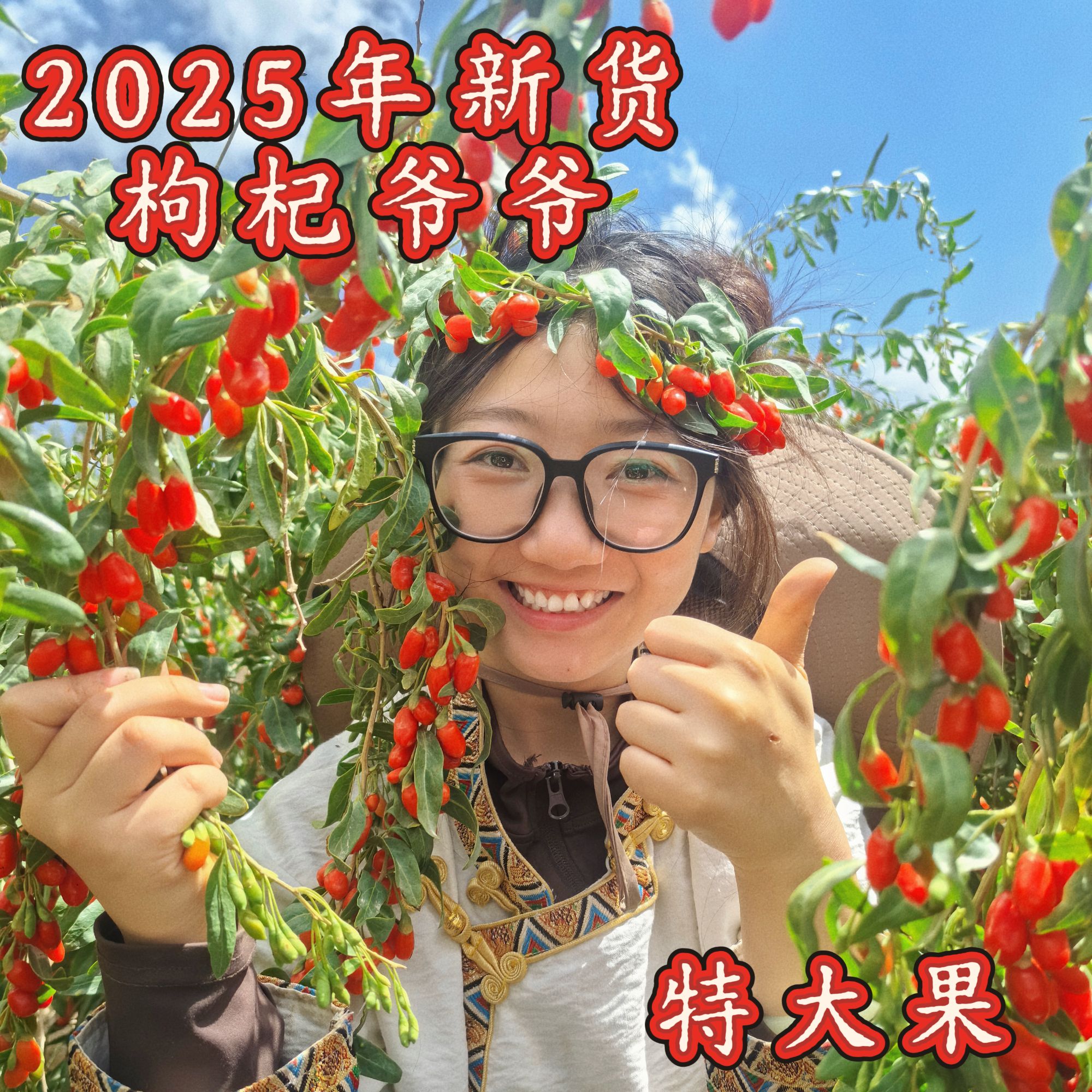 25年头茬【特大果】青海柴达木红枸杞 0熏0染自然晾晒颗粒饱满