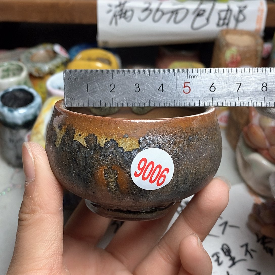 红陶拍5送一个小