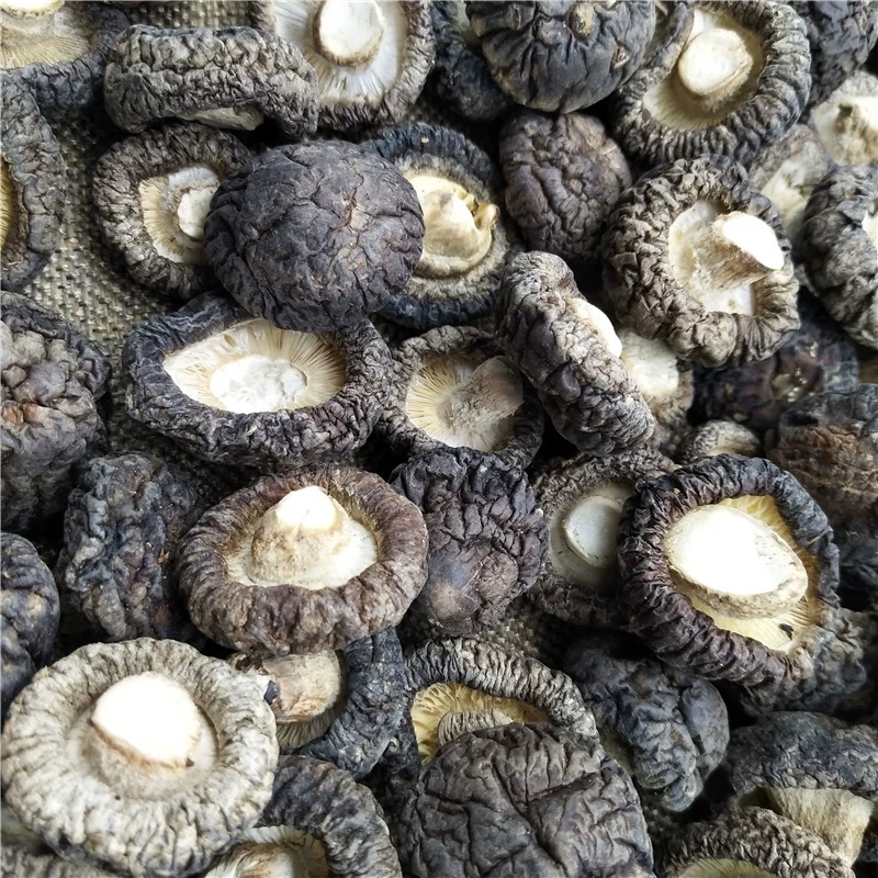 张小妹优选 雪山菇 精选山货