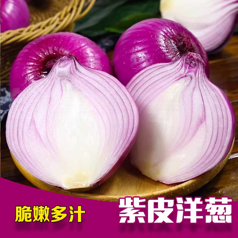 【新鲜洋葱】新鲜紫皮洋葱水果洋葱可生吃应季蔬菜