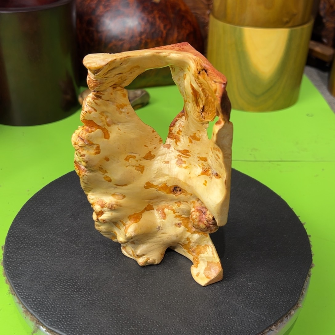 温***生大果紫檀（缅甸花梨）