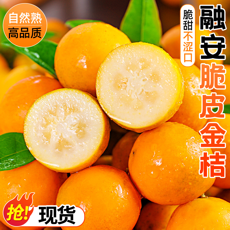 【独立包装】融安脆皮金桔广西小橘子新鲜水果当季蜜金柑青橘