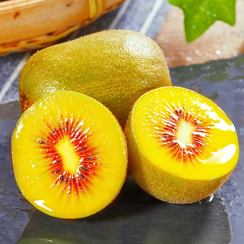 【猕猴桃树苗】黄金奇异果非常好养 非常耐寒 南方北方盆栽地栽种植