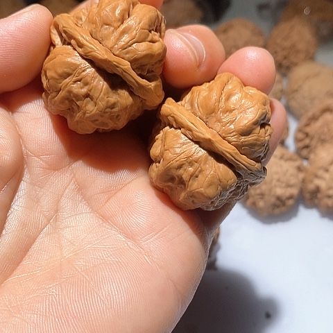 吊坠文玩核桃小*蛤蟆