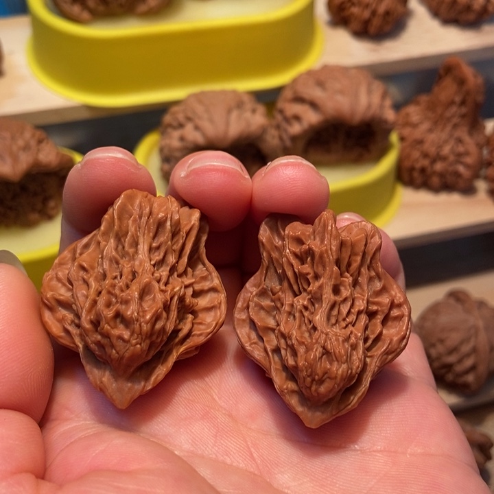 官方网站发布消息小鸟