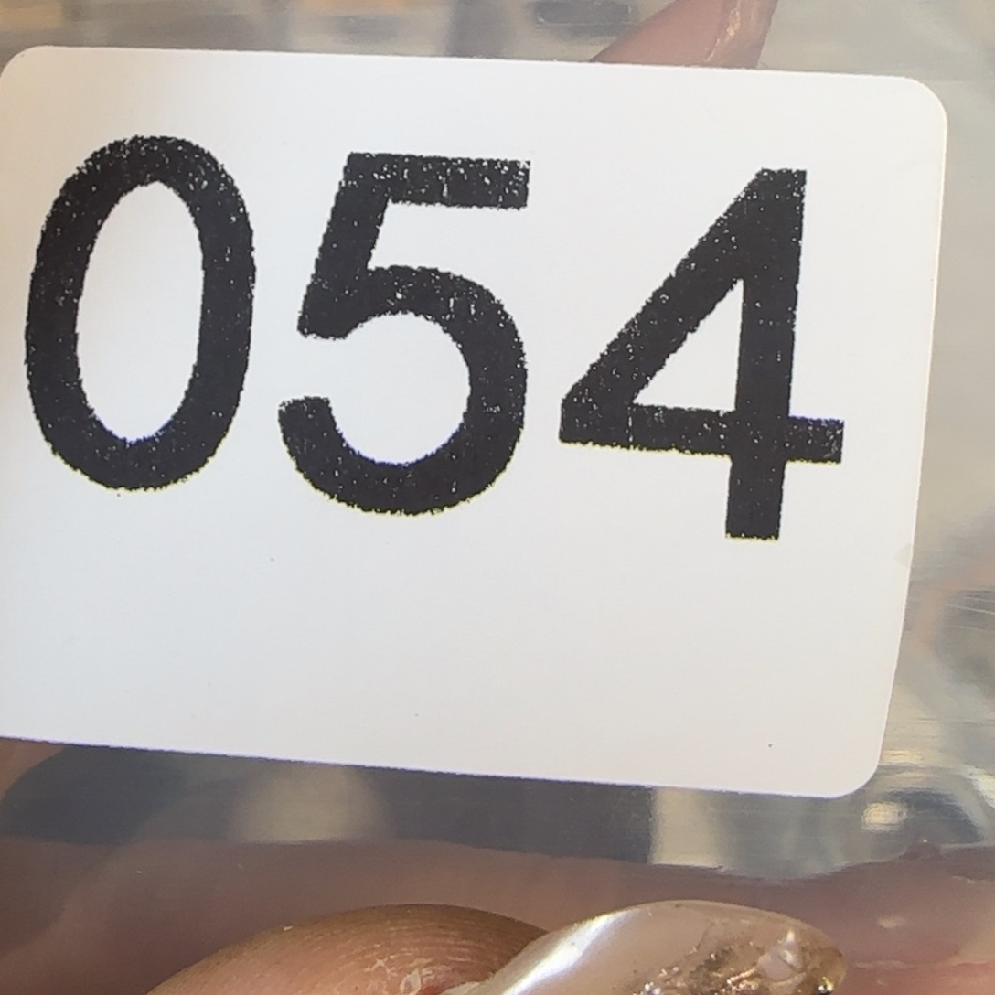 新号开播福利多多