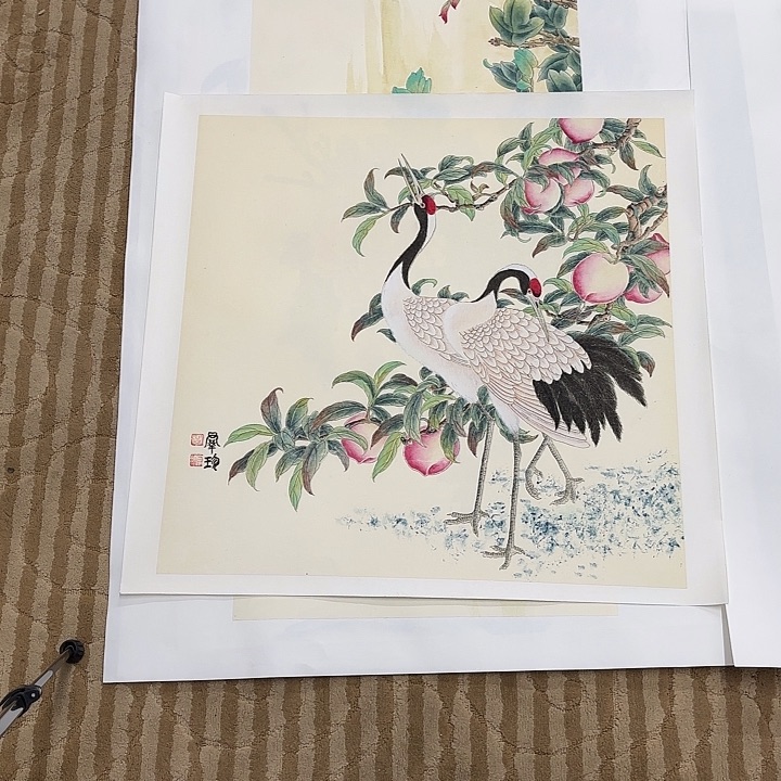 国画啊*?花鸟等动物为主料制作