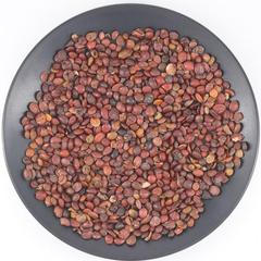 小孙精选～早人非香菇临时链接