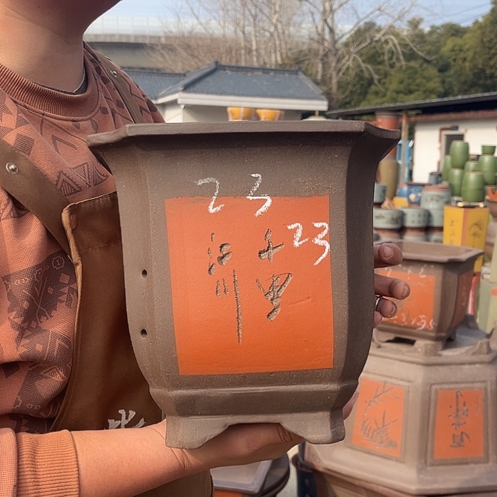 紫砂紫砂花盆盆栽