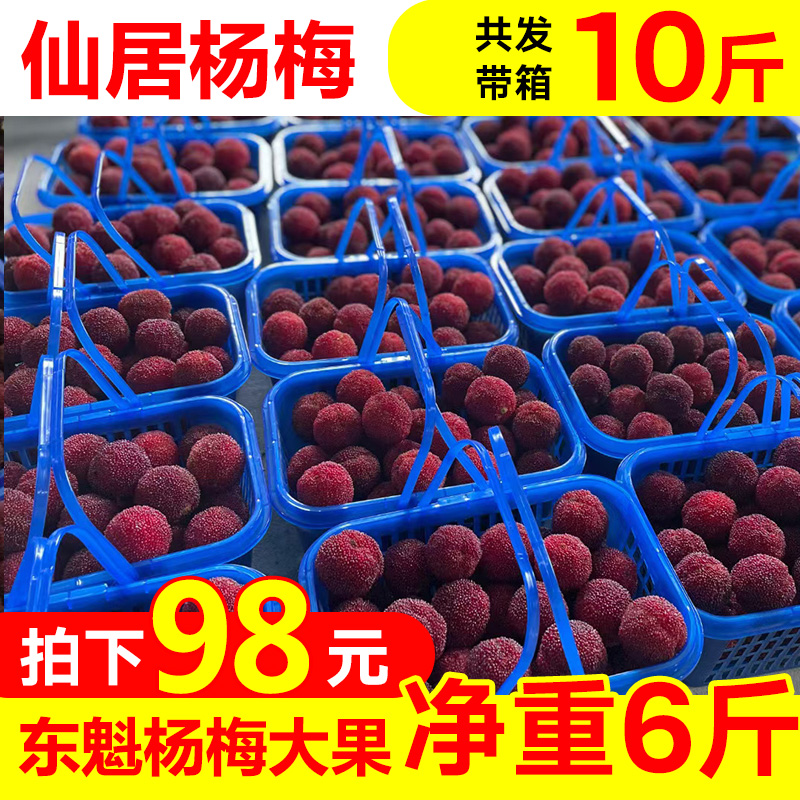 正宗仙居大东魁杨梅新鲜现摘现发孕妇应季水果带箱10斤特甜礼盒装
