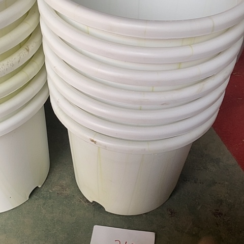 树脂编号242瑕疵