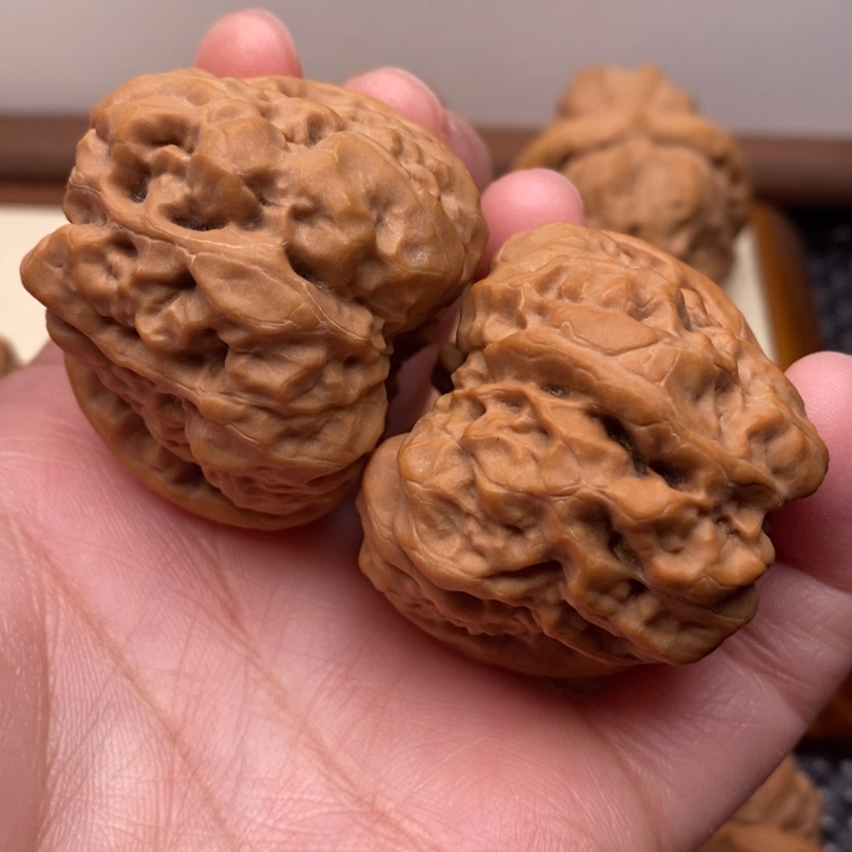 【闪购商品】把件文玩核桃肌肉蛙边41肚44左右