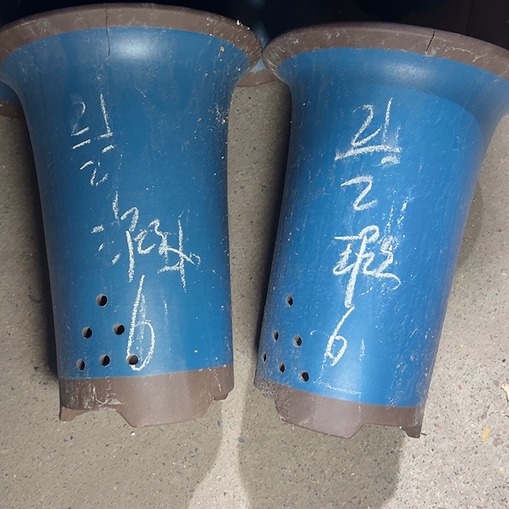 周深周深周深周深 