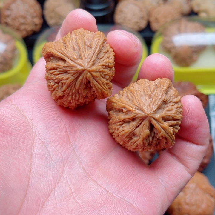 文玩核桃把件凹底南疆石正丁35×34×36