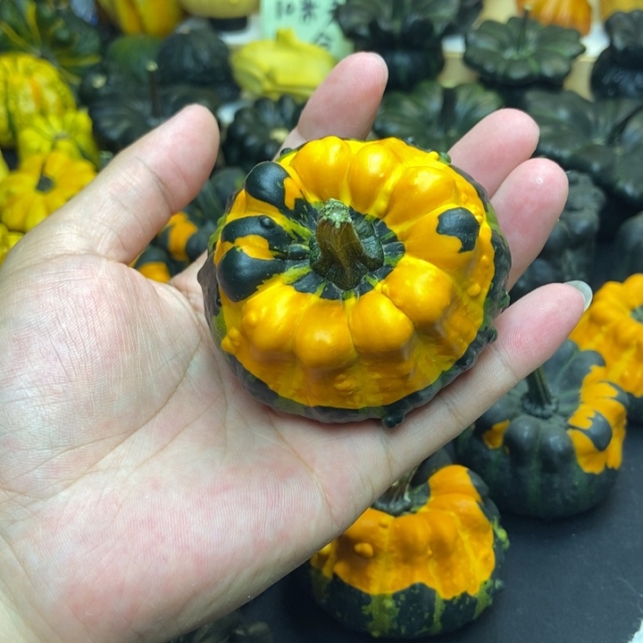 梦*队福利福利福利福利