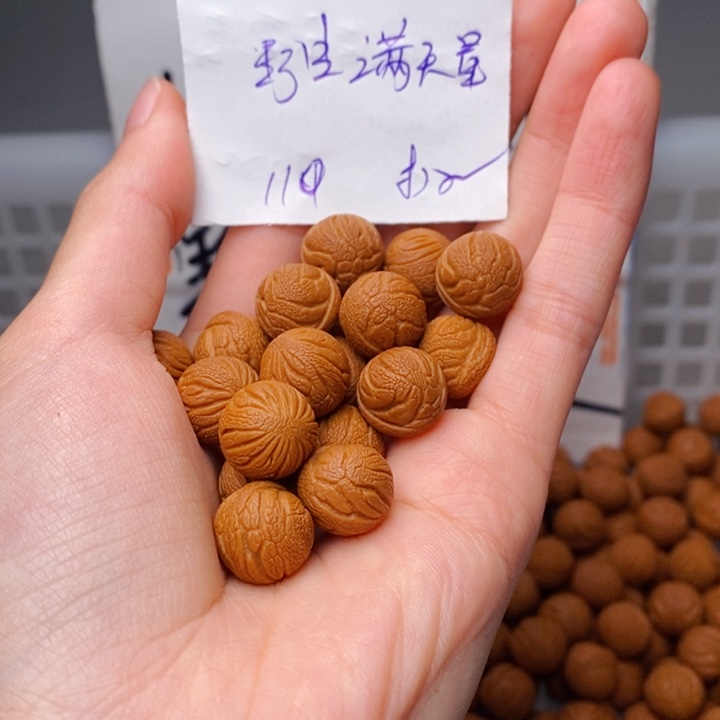 莉***姐桃核手串12mm左右野生满天星110颗（打孔）