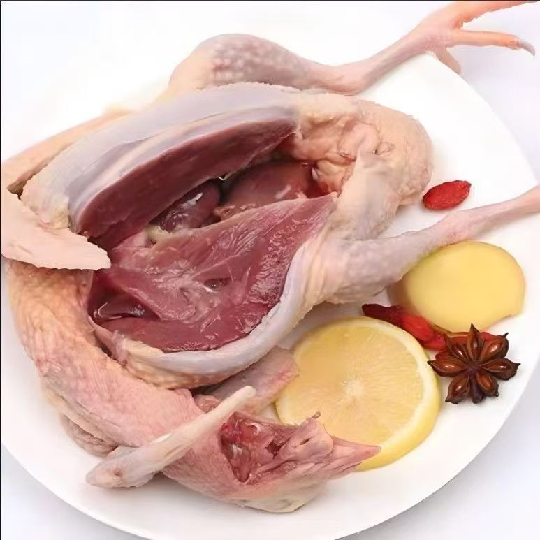 精选6只  顺丰京东包邮新鲜鸽子煲汤美味