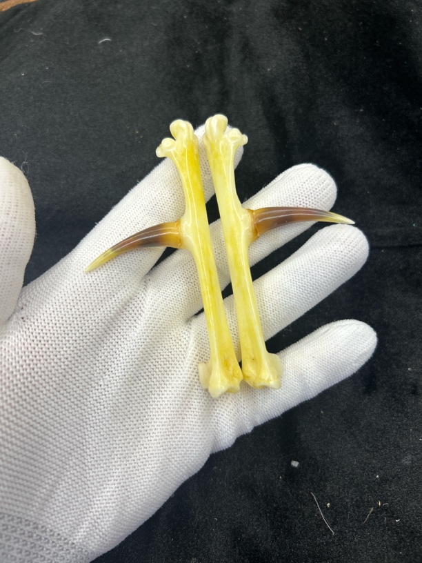 鸡爪骨鸡蹬子钥匙扣下单赠送油装饰手套