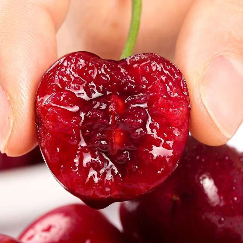 【买5送5斤】J-4JD智利进口海运桑提娜车厘子新鲜水果内附果径卡