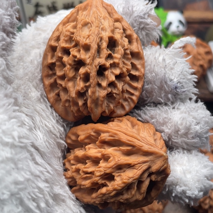 香****核桃42尺秦岭野生秦大龙