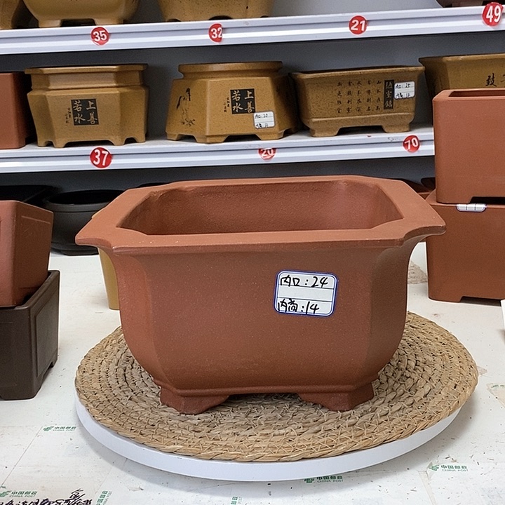 紫砂花盆今天下午