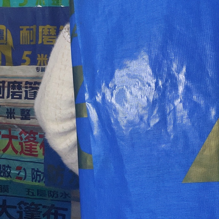 飞天金龙的330克的