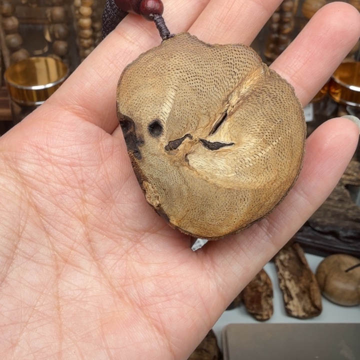 沉香碎屑沉香达拉干沉香随型10克