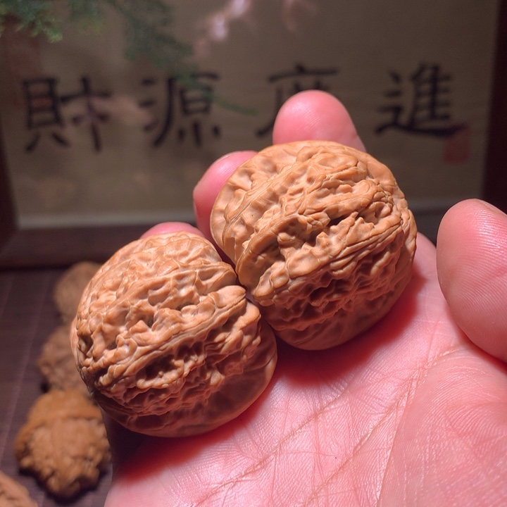 河***品白狮子40全品麻核桃