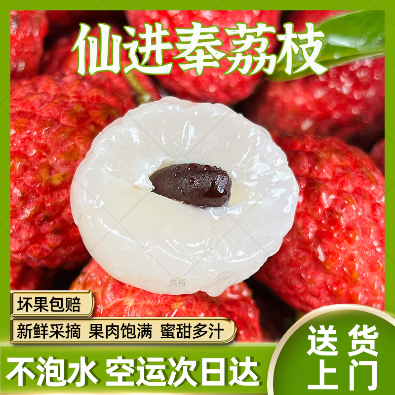 【顺丰次日达】新鲜仙进奉10斤装荔枝王后广东增城发货现摘不泡水净应季水果整箱包邮荔枝同城送