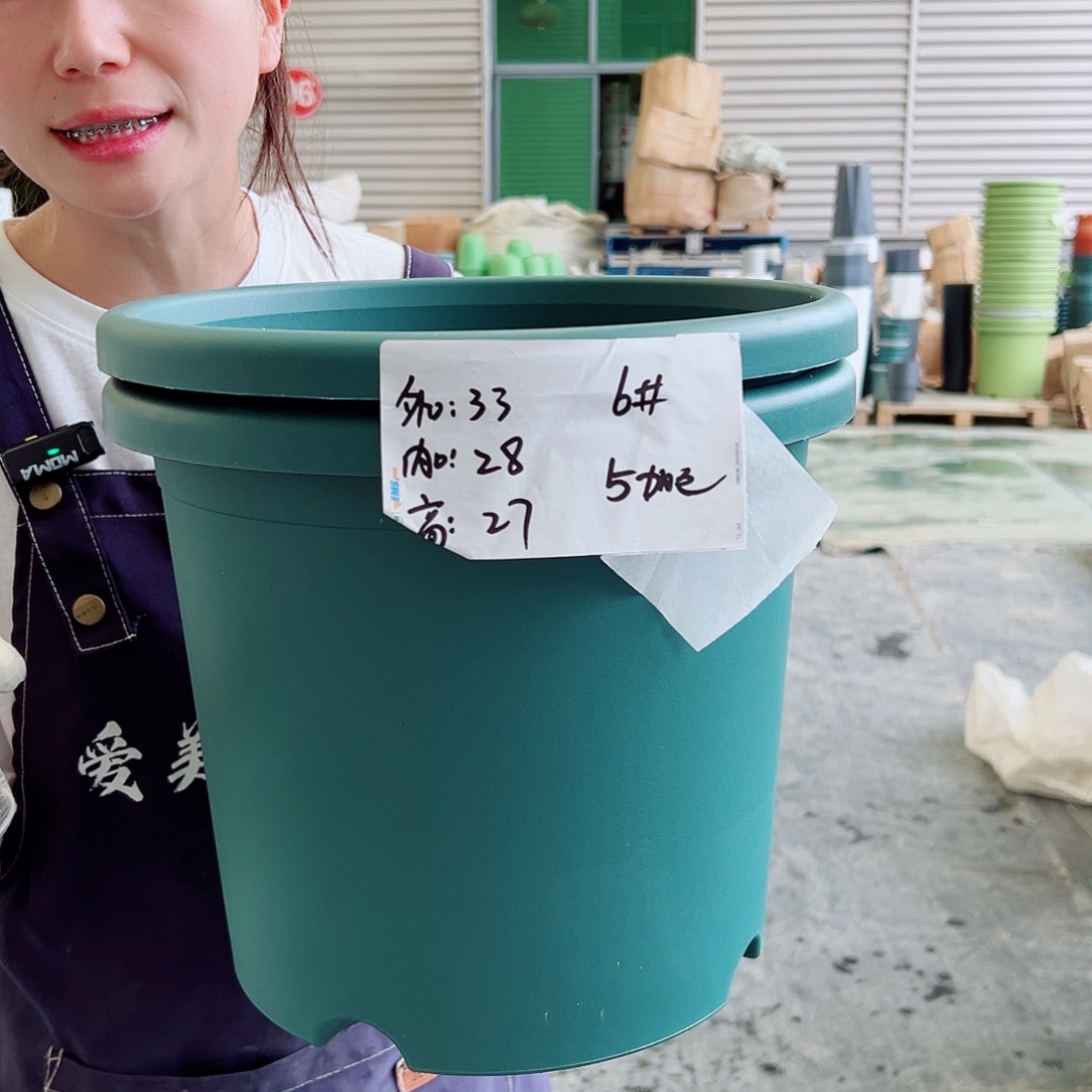 四季盆6#墨绿5个无托