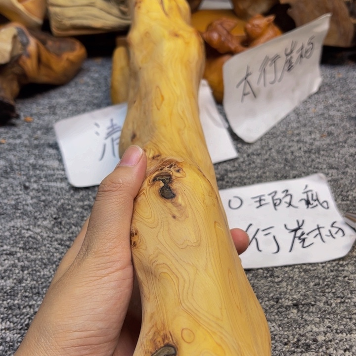 柏木（崖柏）崖柏36