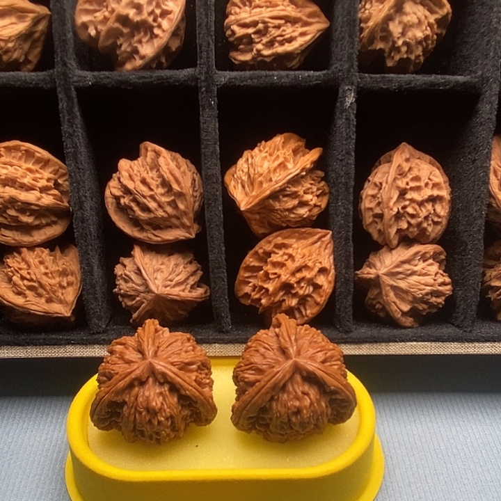 沙***6无花朵哈哈哈哈哈哈哈哈哈哈