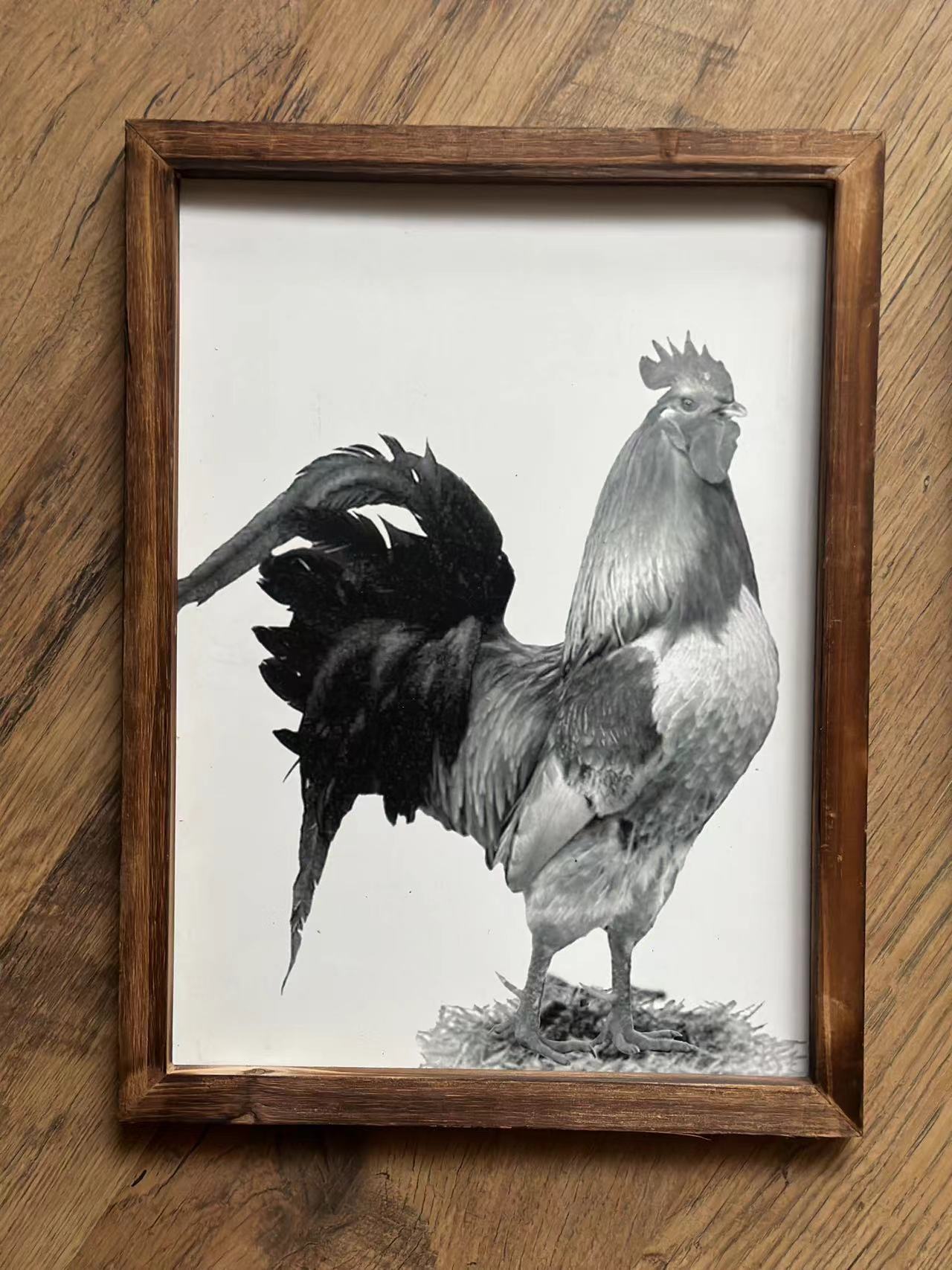 美式乡村公鸡实木相框可挂印刷画（实本默认微瑕）30x40cm