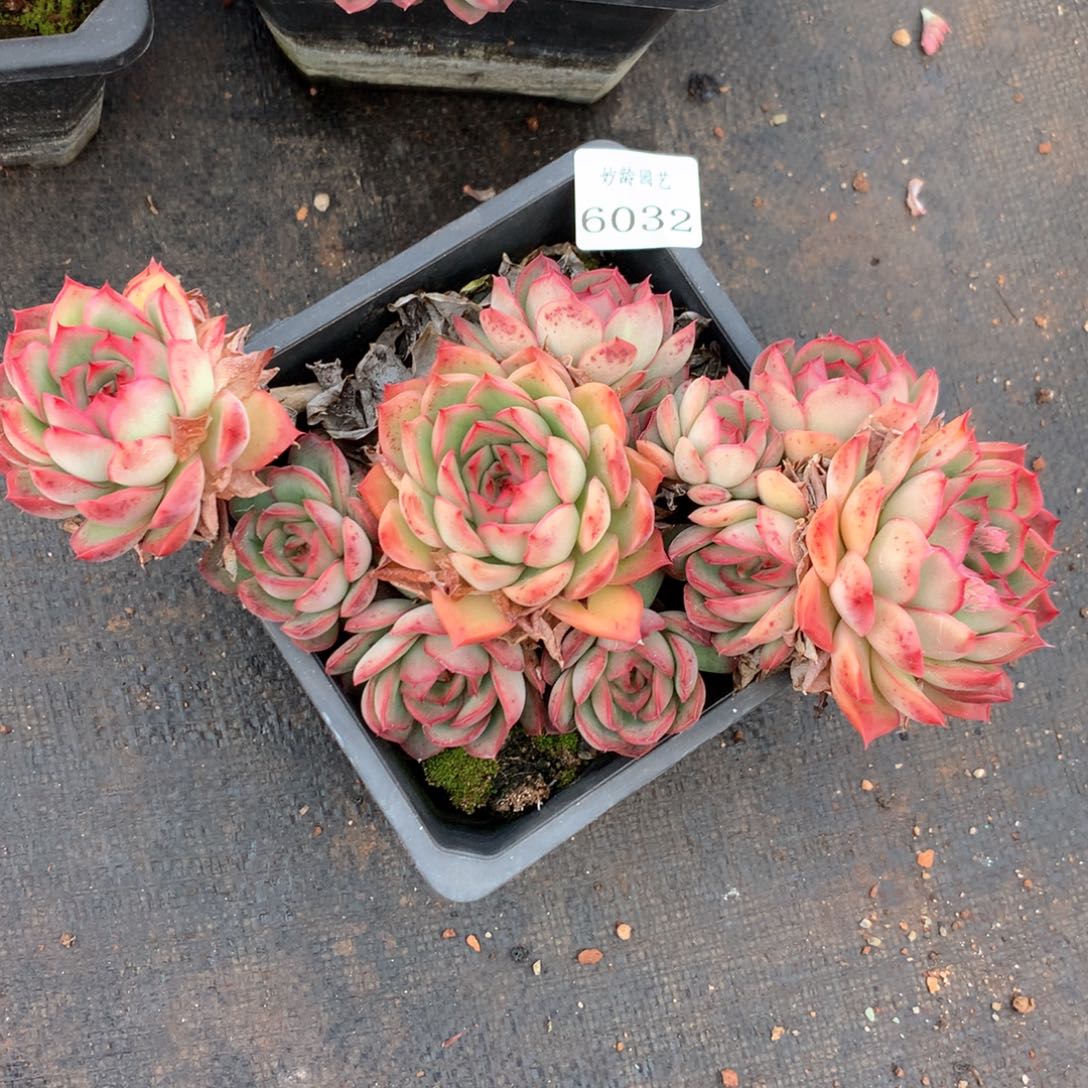 A*i6032不包掉头整散特价处理