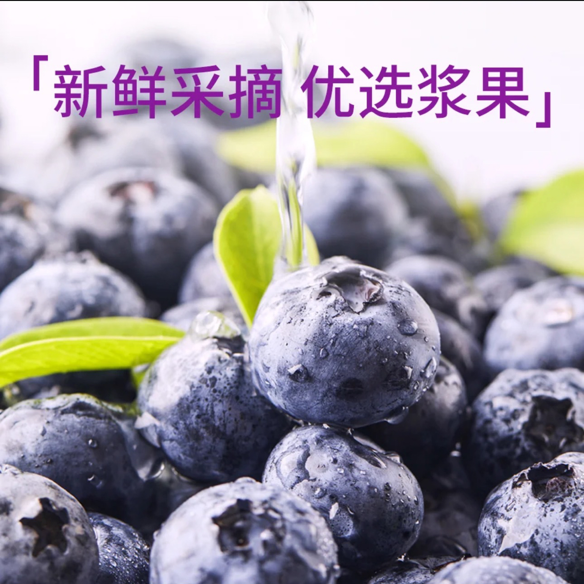 优选蓝莓杯 净果60g×12杯云南省