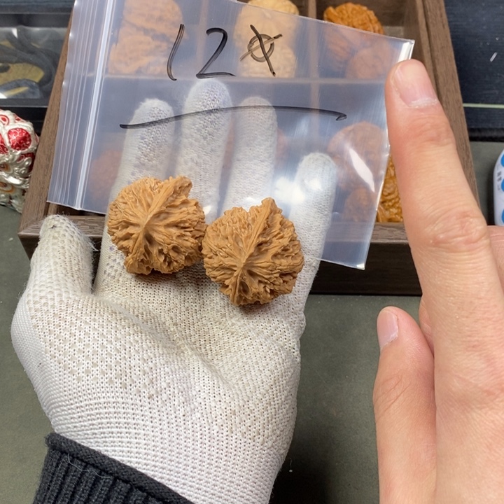 核桃等经济林果地的作用
