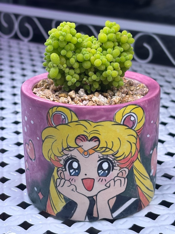 夏妹沐雨美少女多肉花盆7.5口7.5高景德镇一物一拍