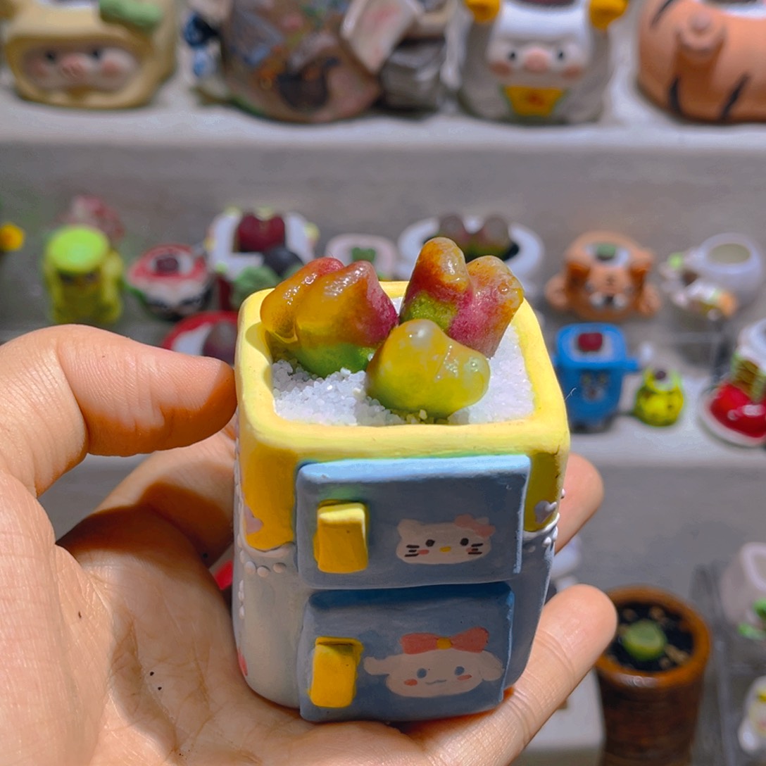 王**！大帅专属链接拍拍