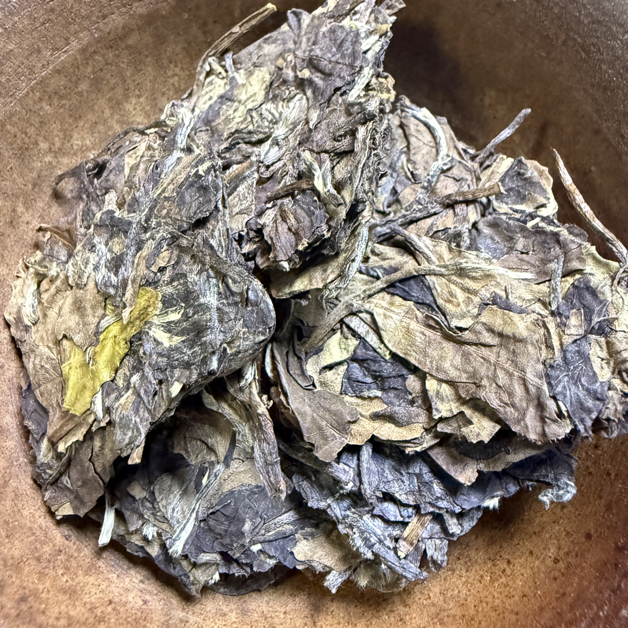2016年福鼎白茶 白露撬饼茶九年陈老白茶叶