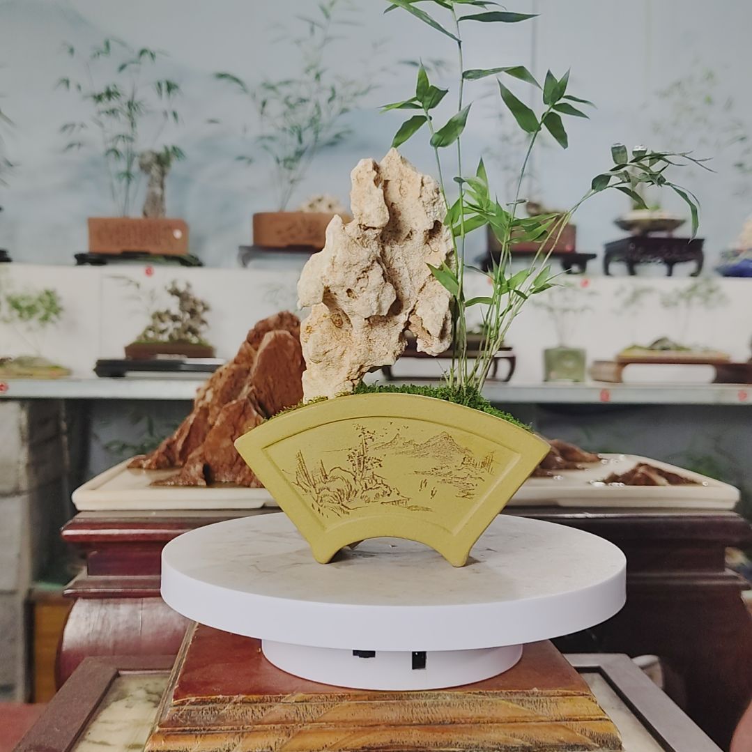 盆景，凤尾竹，太湖石，奥***鸭