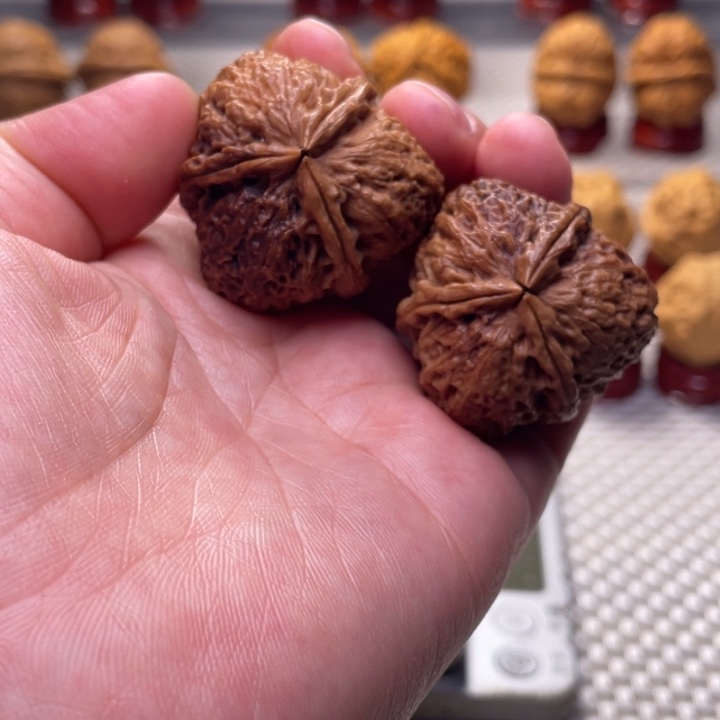 文玩核桃把件20七彩梅花三棱