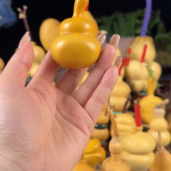 缠***道大叶紫檀（黑酸枝木类）