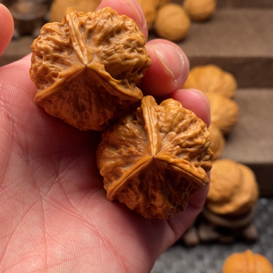 文玩核桃把件铁核桃